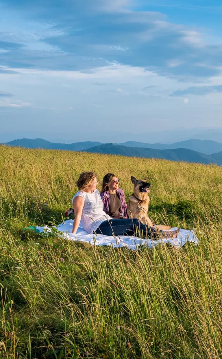 Soak Up Summer in the Blue Ridge Mountain Balds Near Asheville, NC