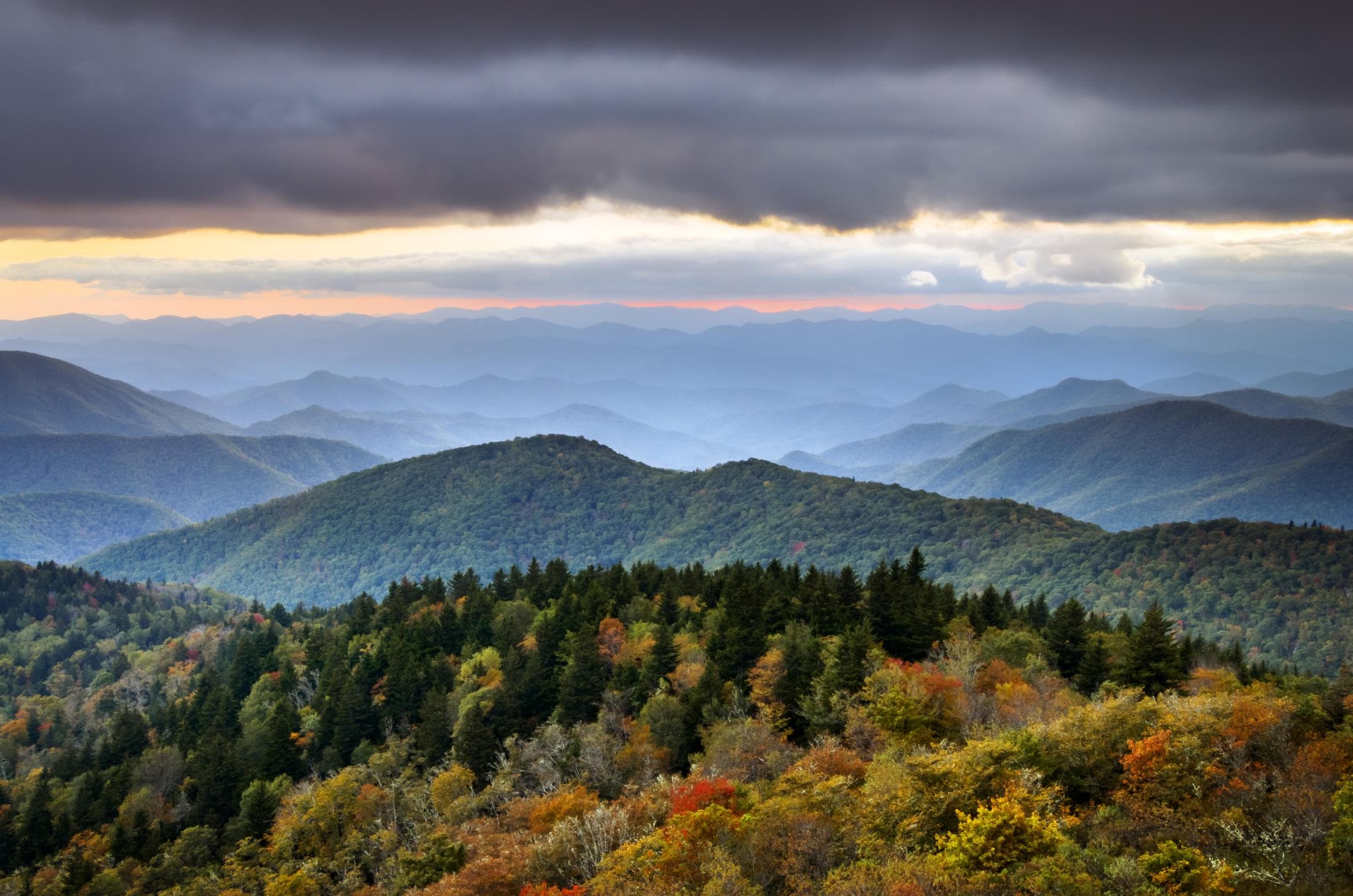 Cowee Mountain Vista