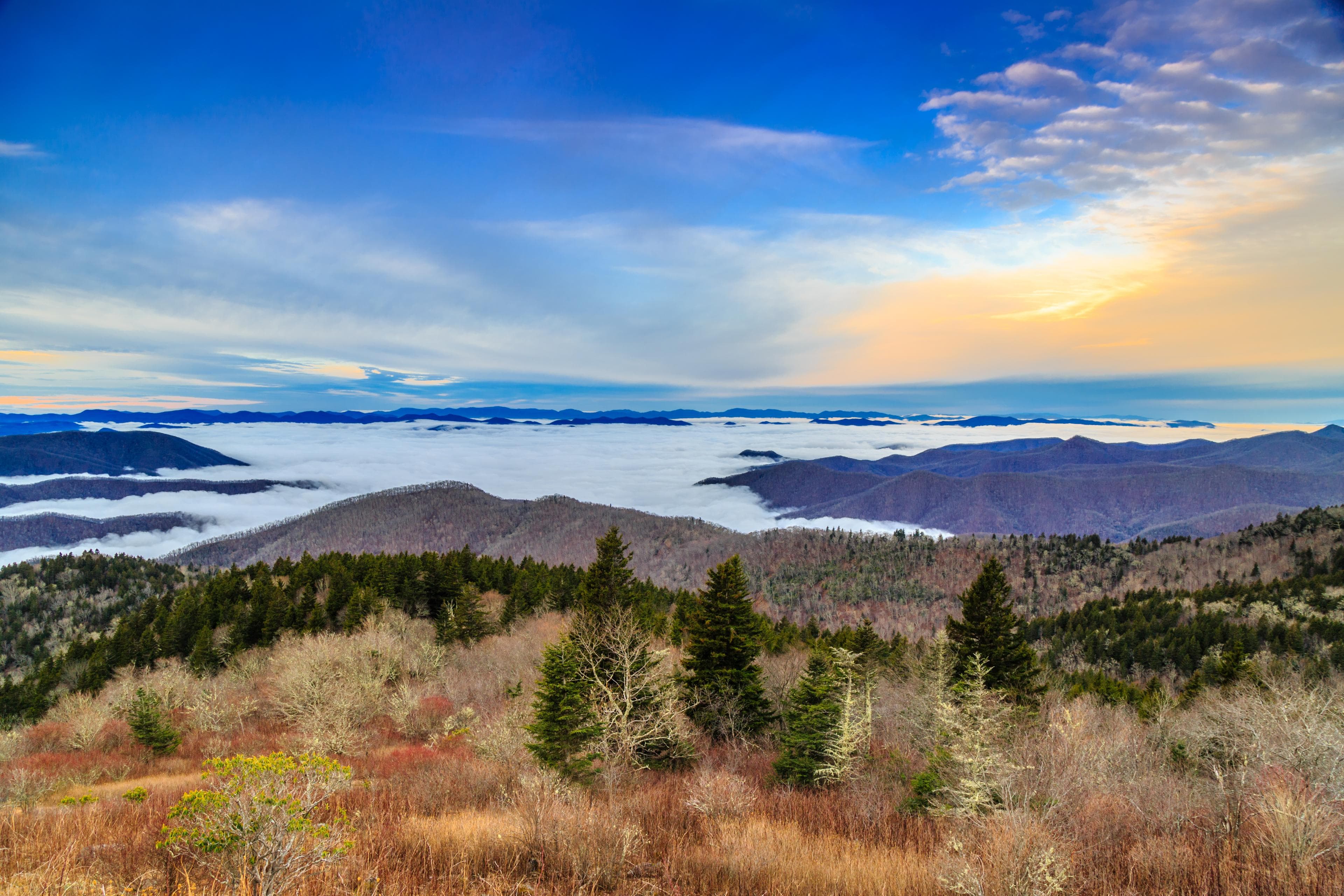 The Ultimate Asheville Winter Vacation Itinerary