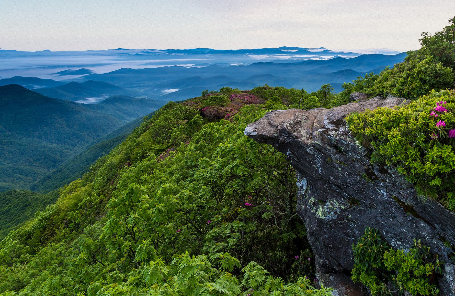 Asheville Mountain Vista