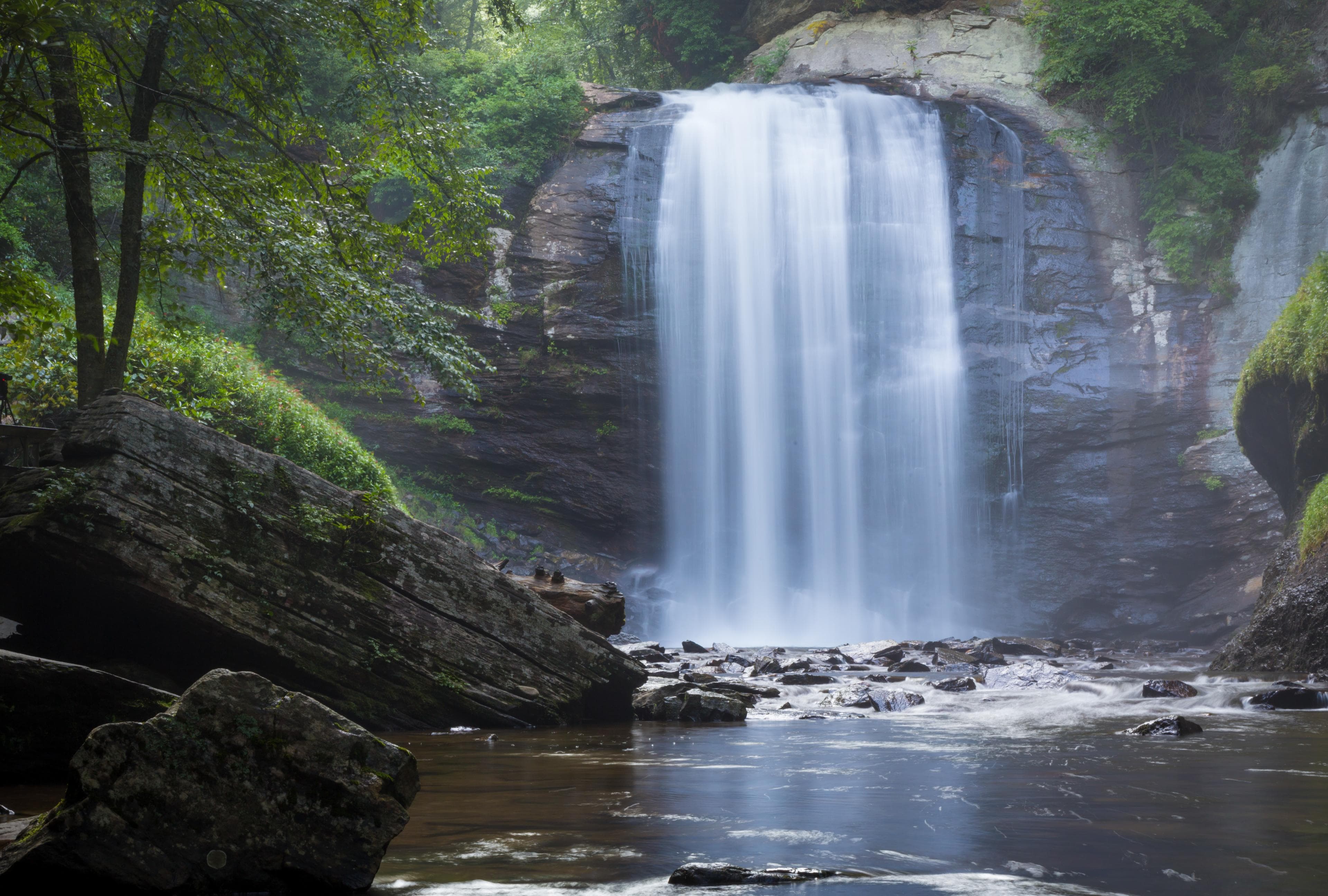 A cascading waterfall surrounded by greenery in Asheville