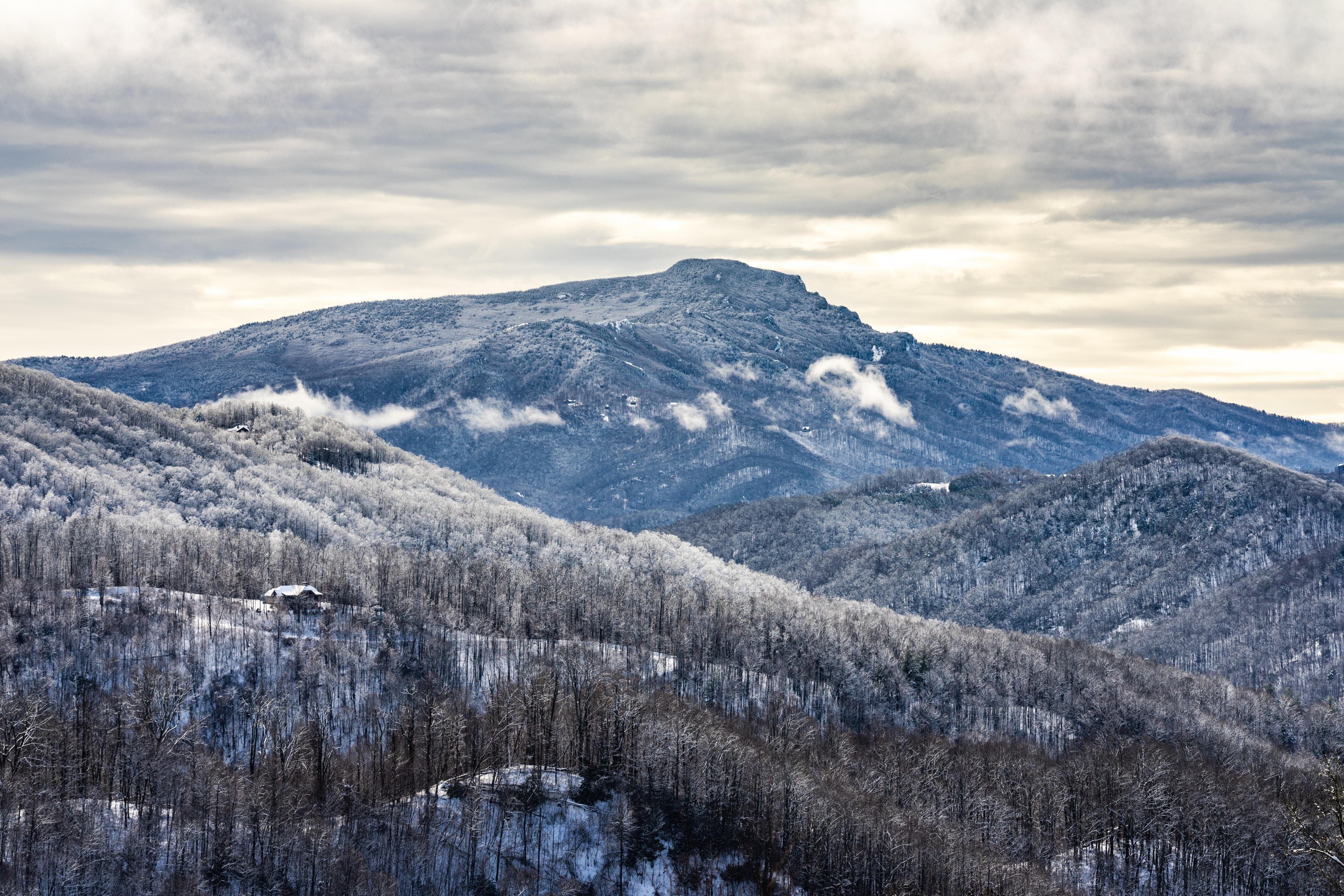 Discover Asheville's Top 5 Winter Wonders