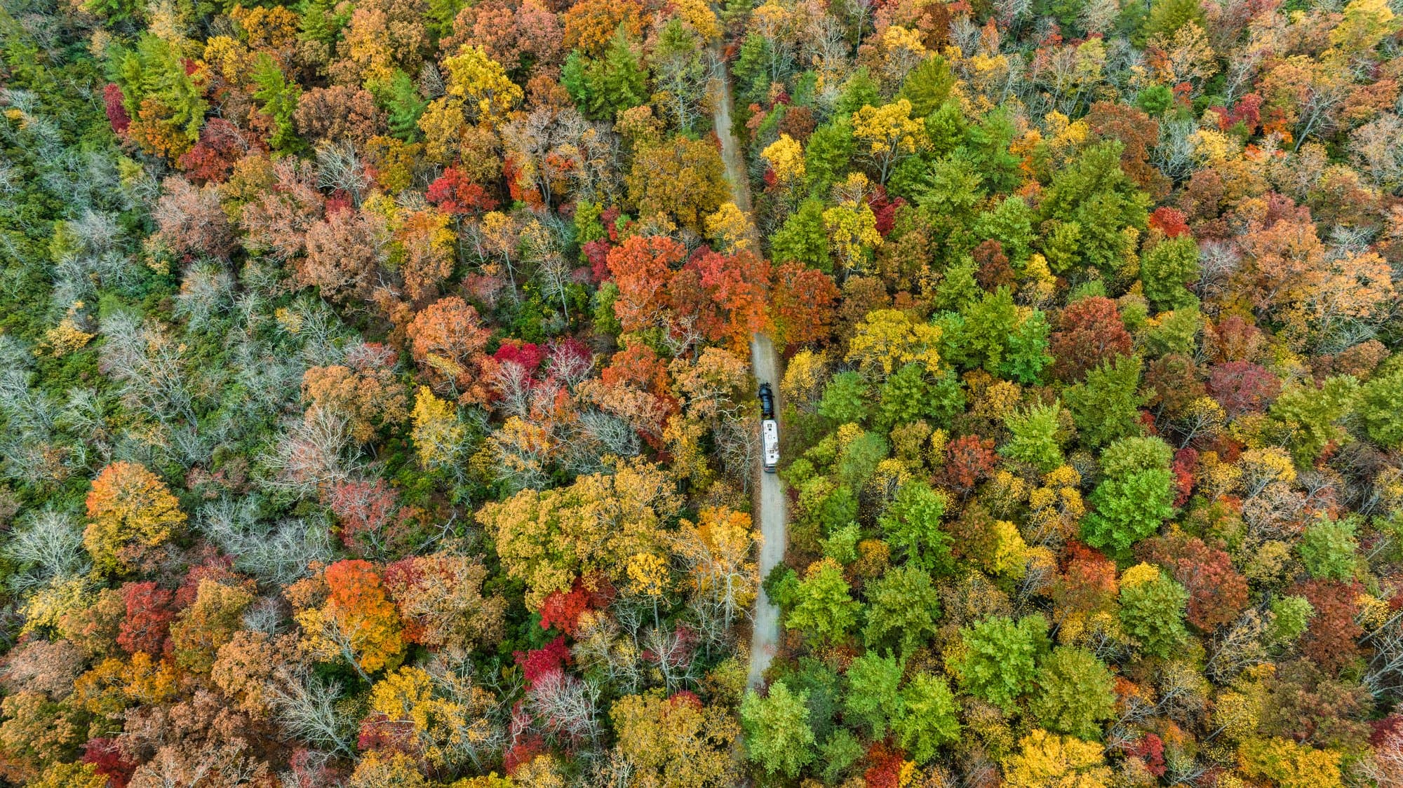 Yellow Gap Road in the Pisgah National Forest /Photo: Reggie Tidwell