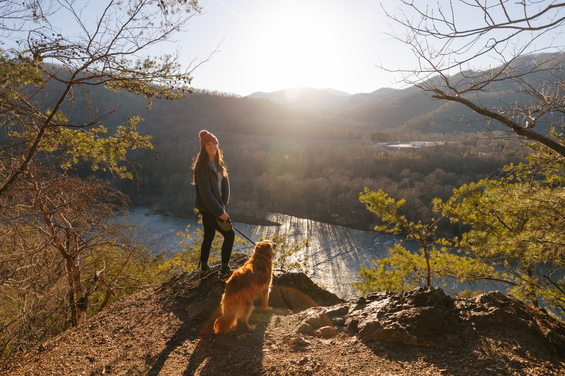 Dog on a hike / Photo: Rachel Pressley