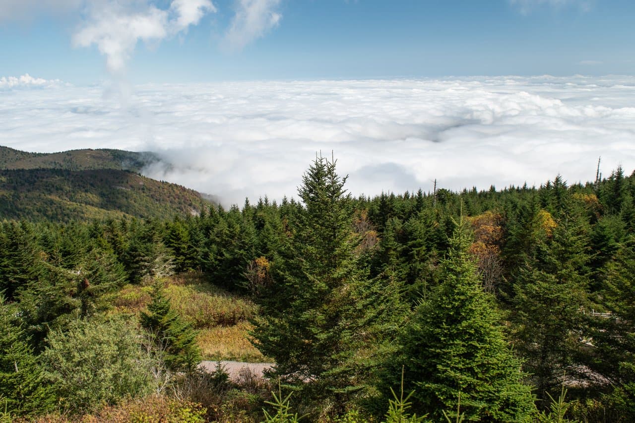 Mt Mitchell in early fall / Photo:Jason Tarr