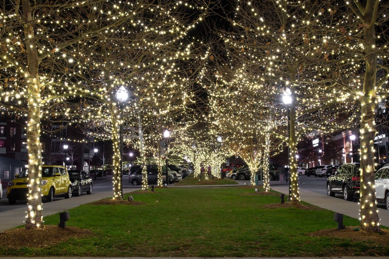 Biltmore Park Town Square