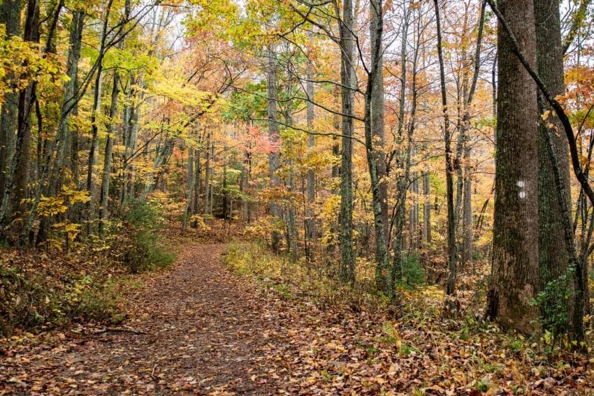 Hard Times Loop Trail