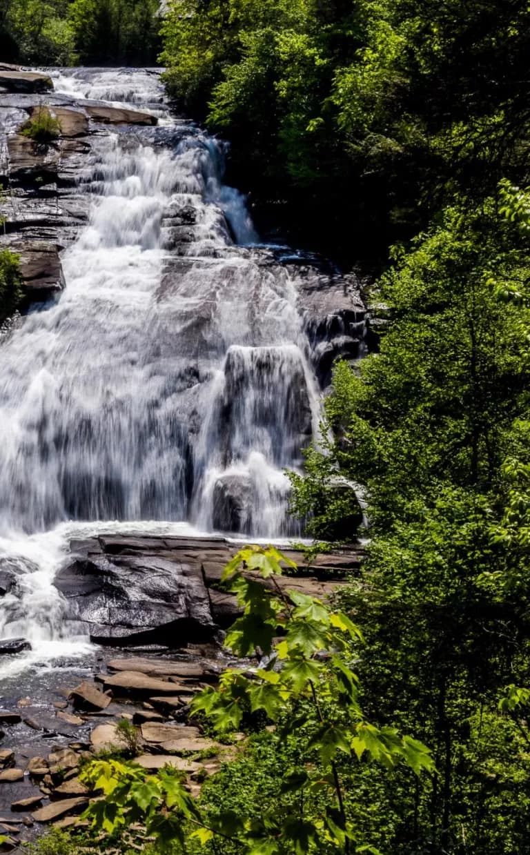 A waterfall cascades down rocks surrounded by green bushes