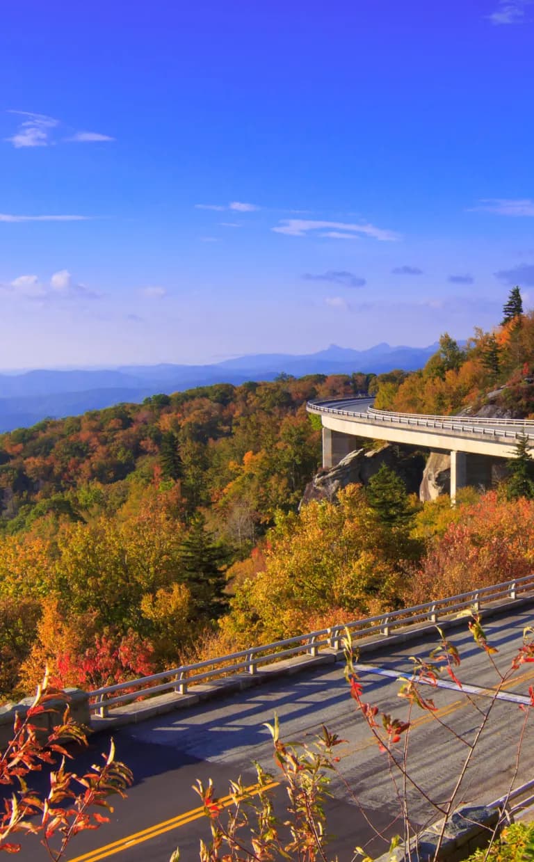 Fall Scenic Drives: Early Color Asheville NC