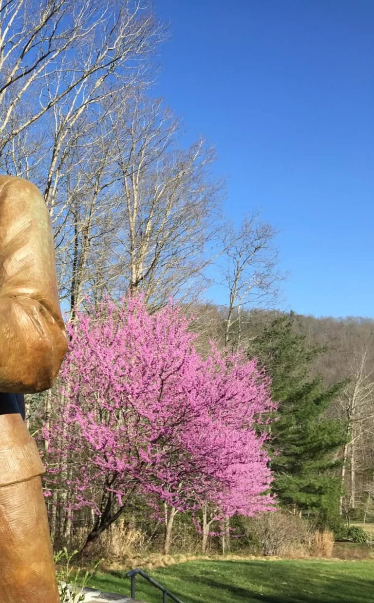 A bronze statue of Frederick Law Olmstead in Asheville