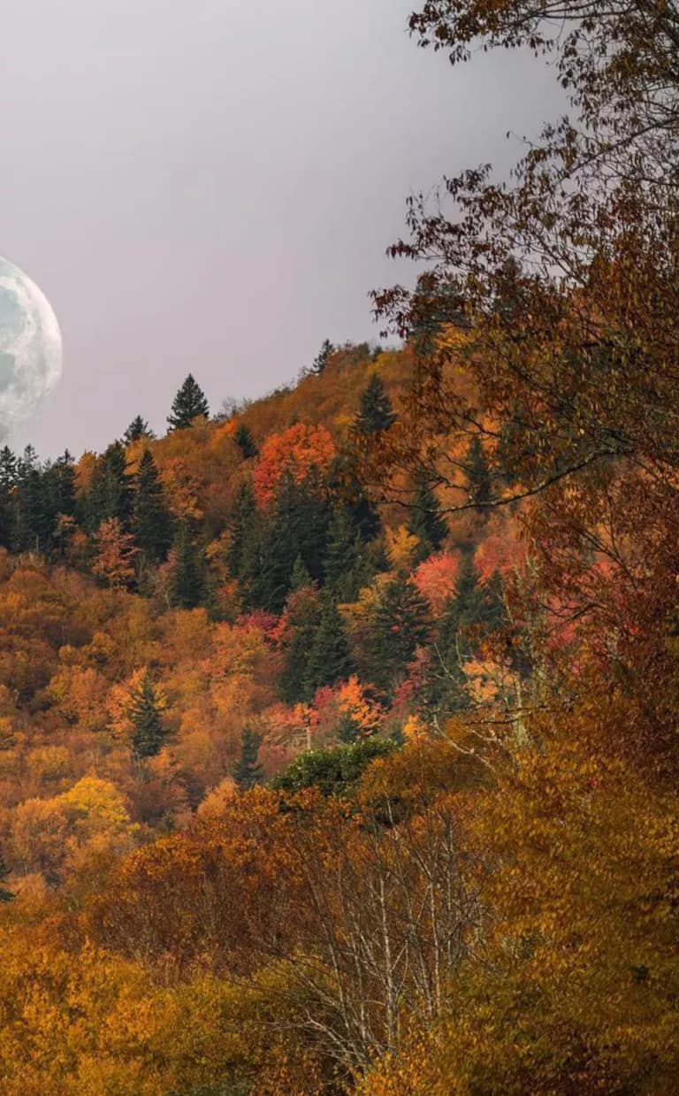 How To Spend Halloween in Asheville NC