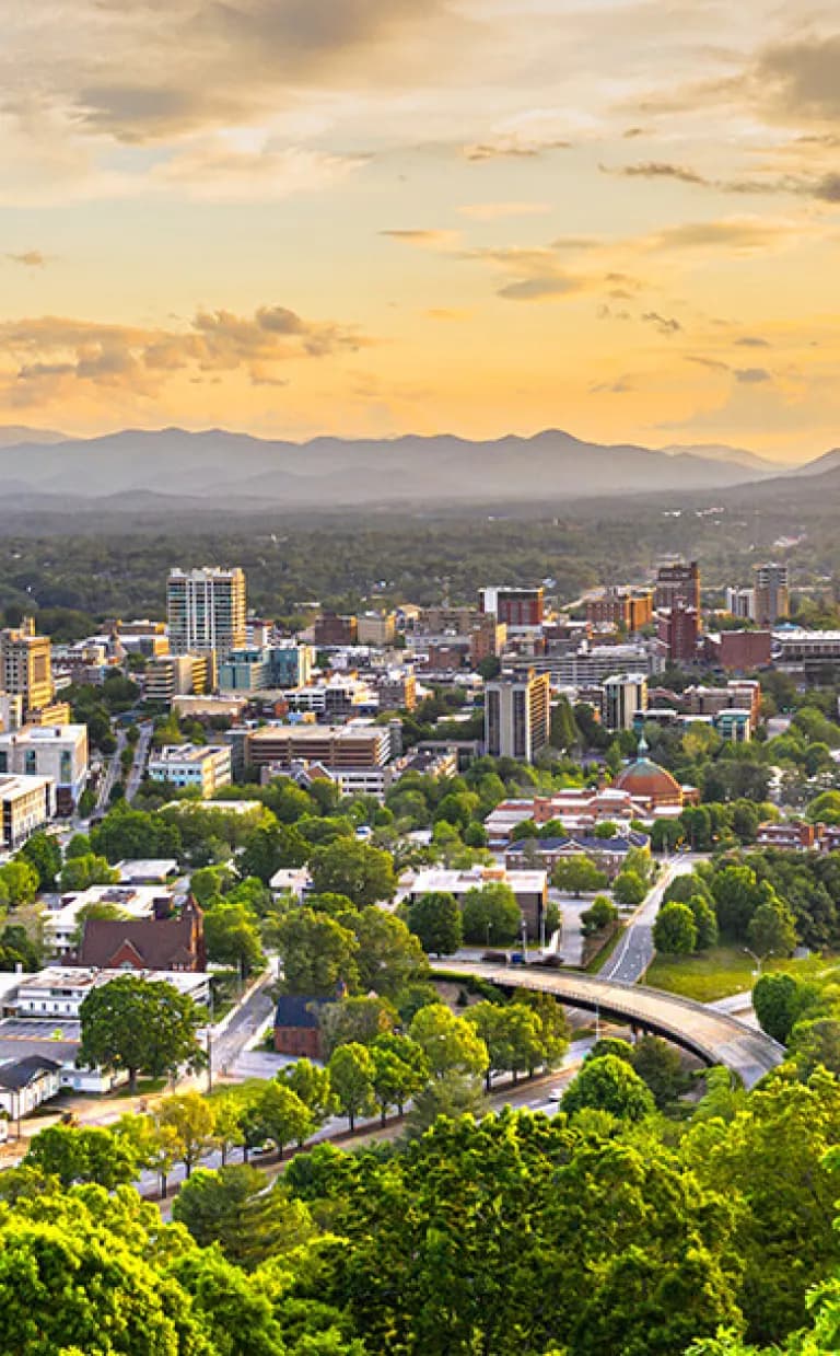 Asheville Skyline