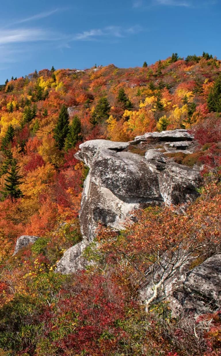 Top 10 Eco-Friendly Ways to Experience Fall in Asheville