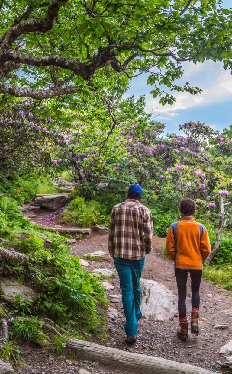 Hiking at Craggy Pinnacle by Jared Kay