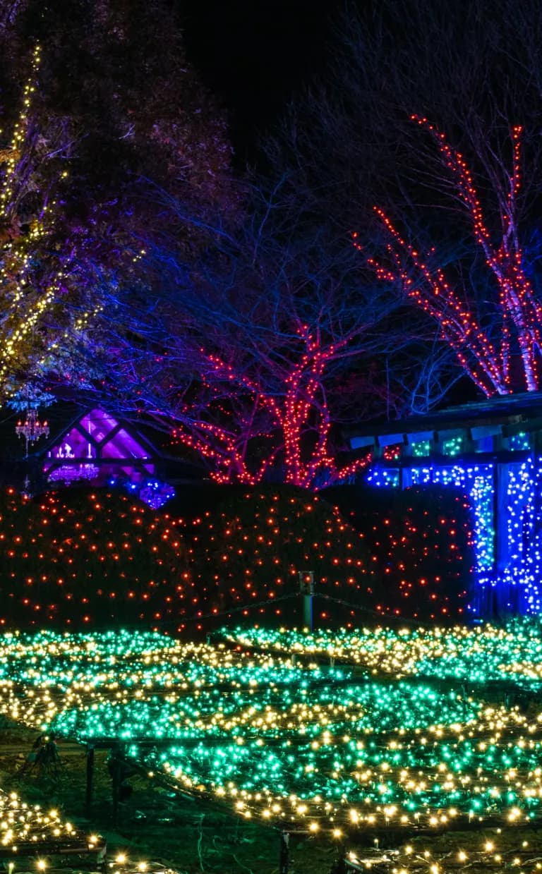 Winter Lights at the North Carolina Arboretum in Asheville