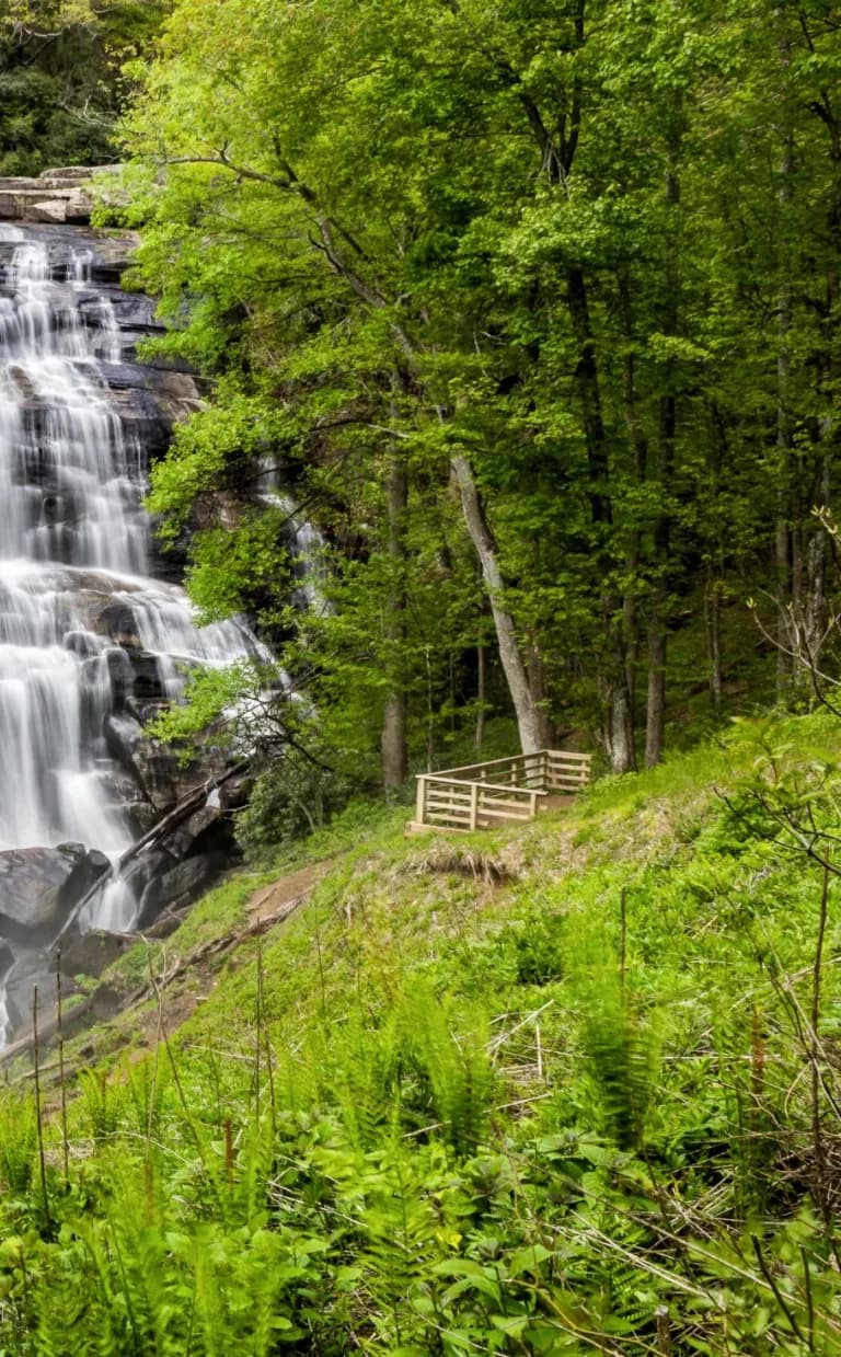 Rainbow Falls and Turtleback Hike