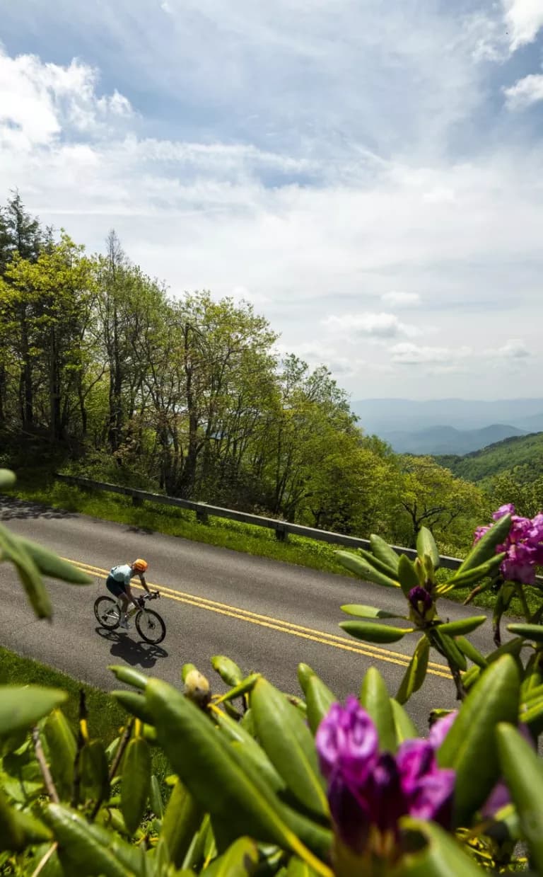 Road cycling on the Blue Ridge Parkway / Photo: Derek Diluzio