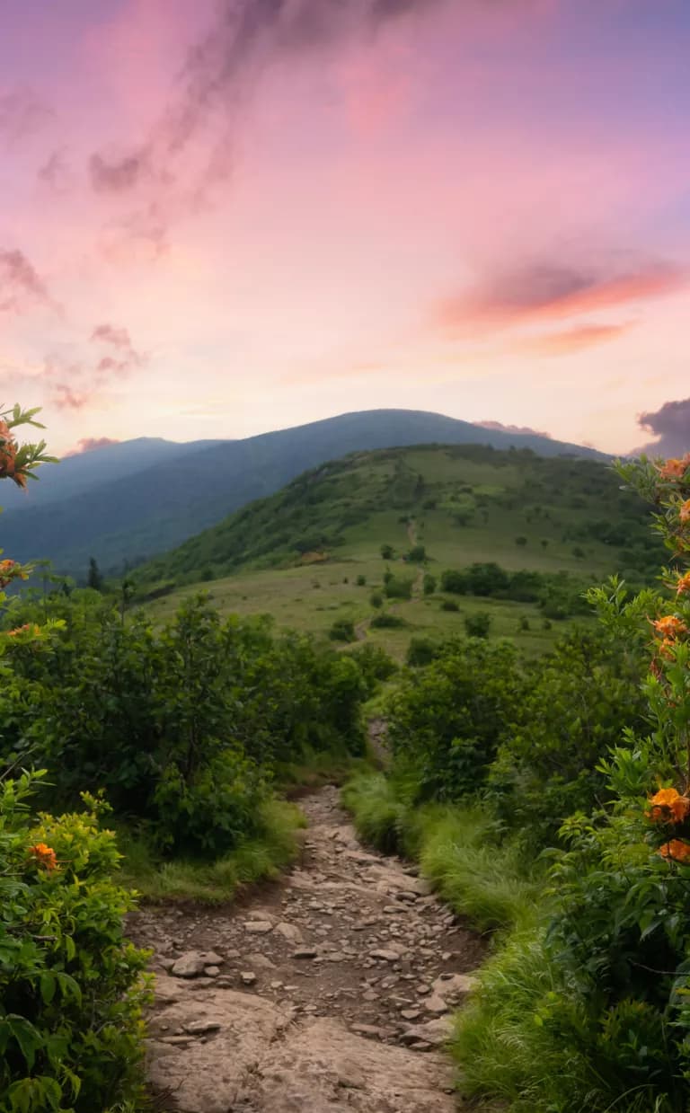 Roan Mountain Hike on the Appalachian Trail