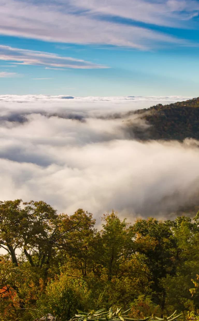 Experience a Cloud Phenomenon in Asheville, NC