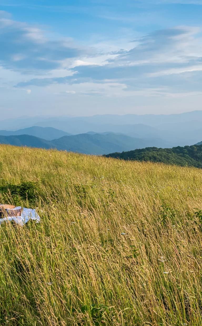 Mountain Balds Near Asheville, NC