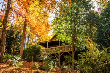 One Year Later... Asheville is Open and Ready for You!