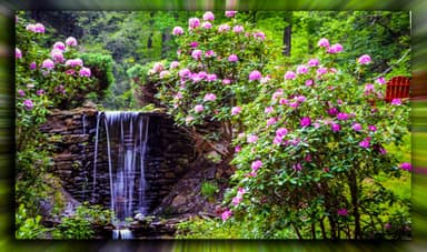 Asheville Cabins - Romance in Luxury, Serenity, & Comfort